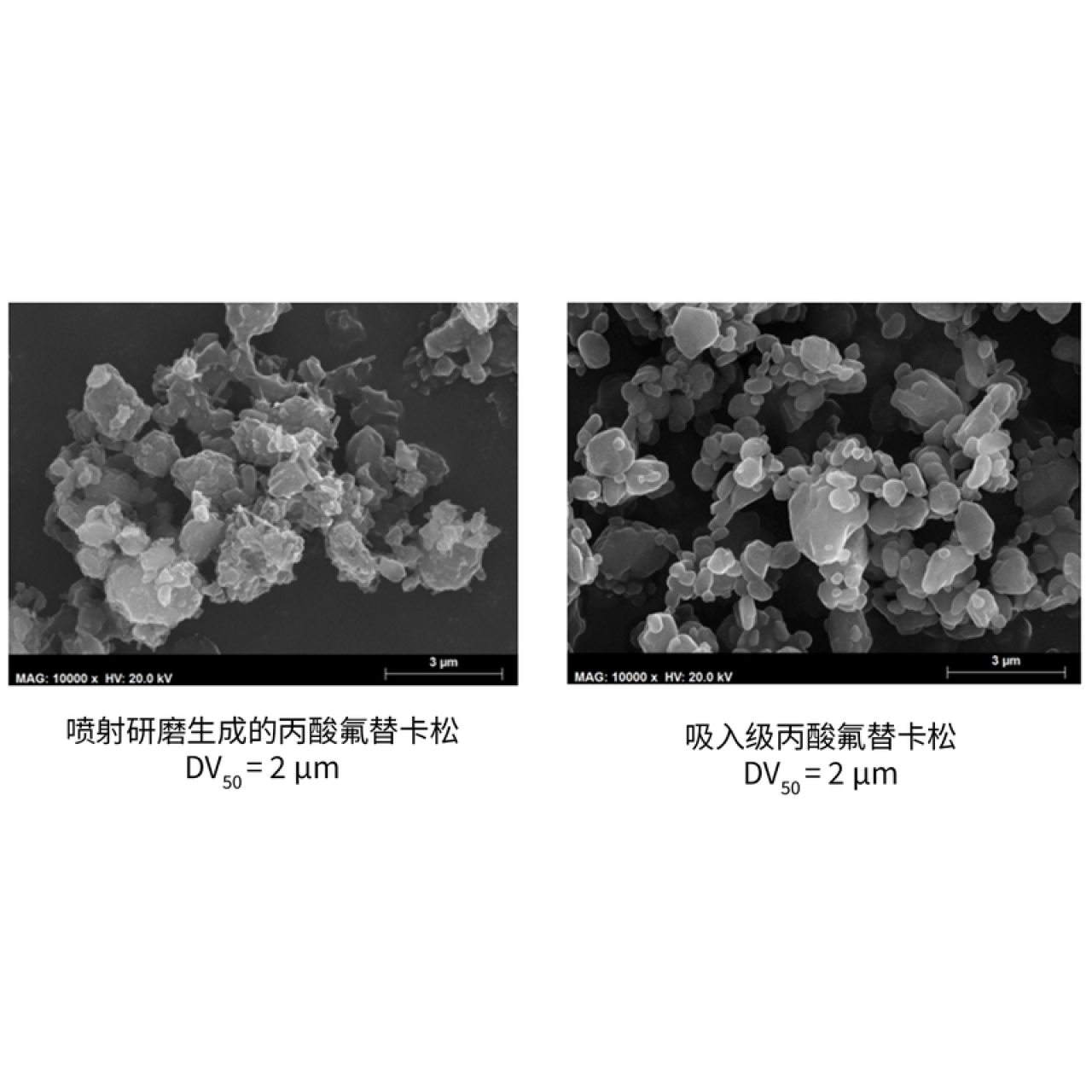 fluticasone, inhalation formulations development, APIs for Inhalation | Hovione